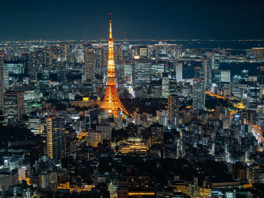 京都城市夜景